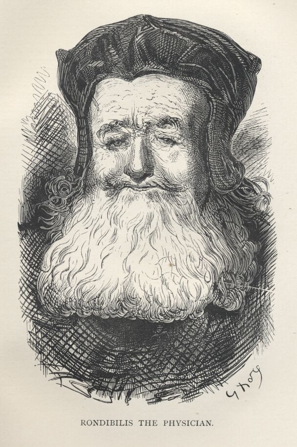 Rondibilus the Physician--3-30-322
