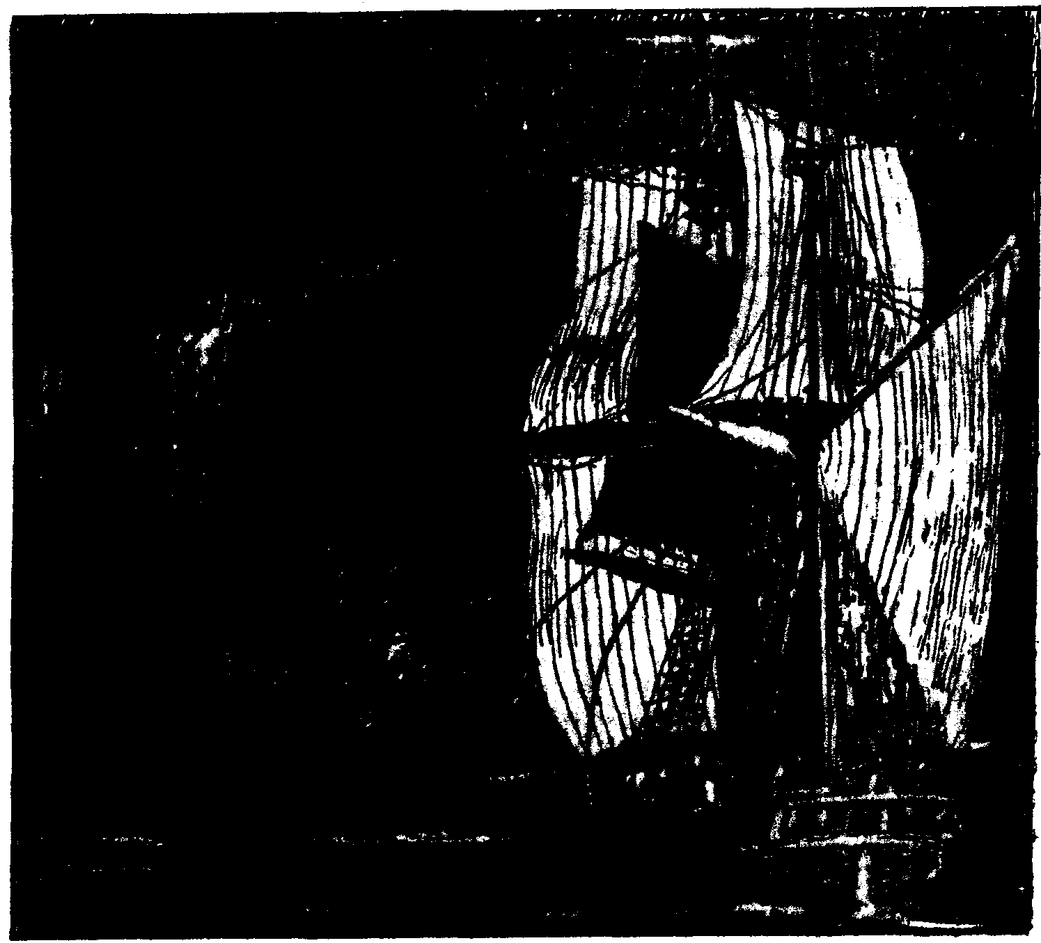 Las Inquietudes de Shanti And�a