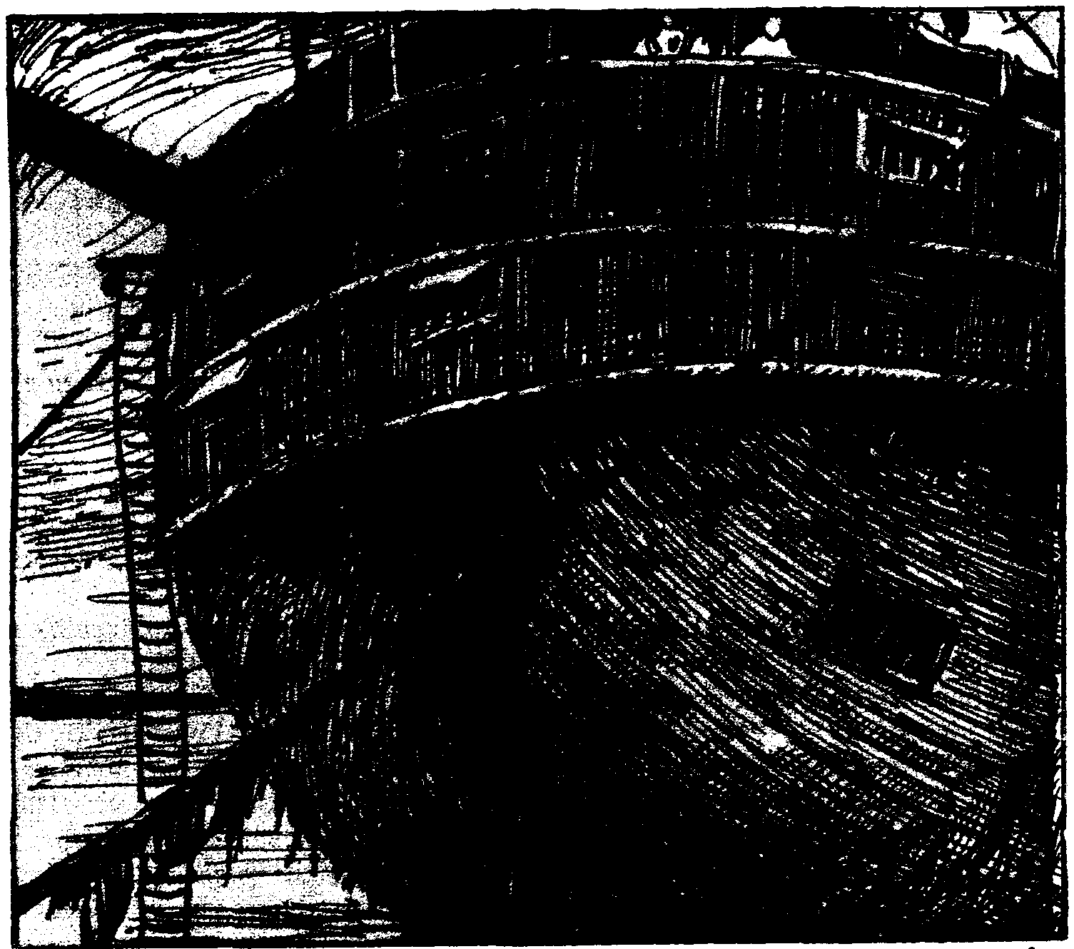 Las Inquietudes de Shanti And�a