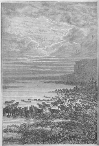 El�imet eiv�t seisattuneet, ennenkuin vesi nousi yli turvan.