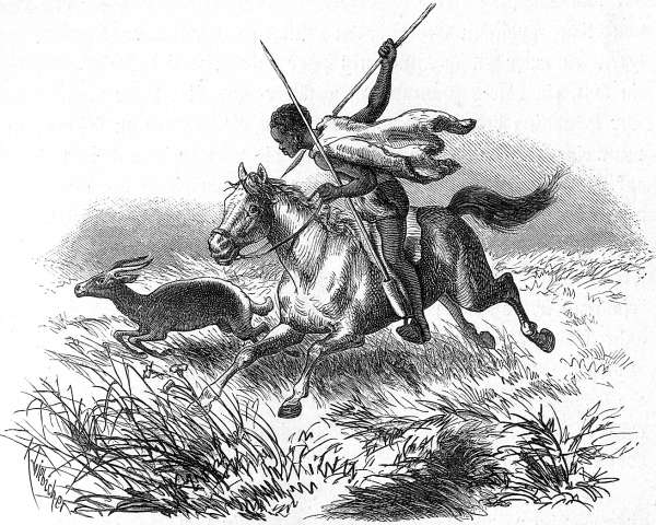 Jochom-Makalahari einen Bl&auml;&szlig;bock jagend.