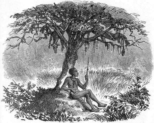 Trocknen von Giraffenh&auml;uten.