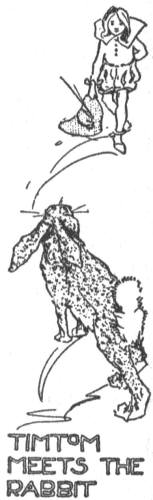 Timetom meets
the rabbit