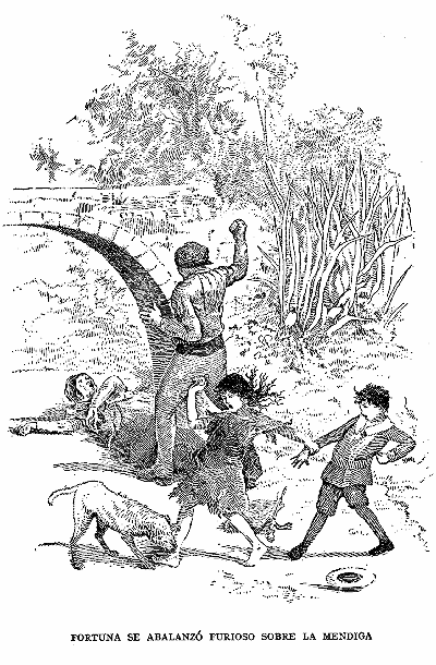 Fortuna se abalanz&oacute; furioso sobre la mendiga