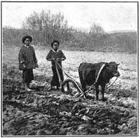 FIG. 94.&mdash;Crude method of farming.