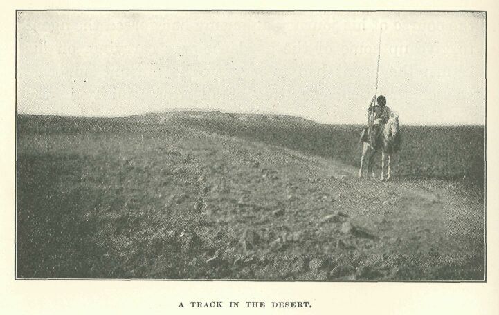 282.jpg a Track in the Desert. 
