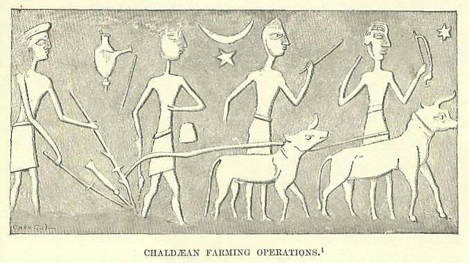 325.jpg Chald�an Farming Operations. 