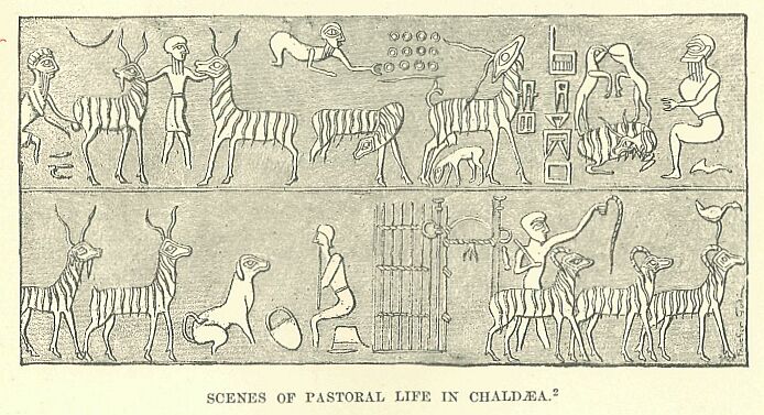 329b.jpg Scenes of Pastoral Life in Chald�a. 