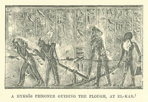 080.jpg a Hyks�s Prisoner Guiding the Plough, at El-kab 
