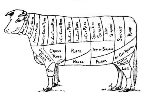 Fig. 1.&mdash;Diagram of cuts of beef.