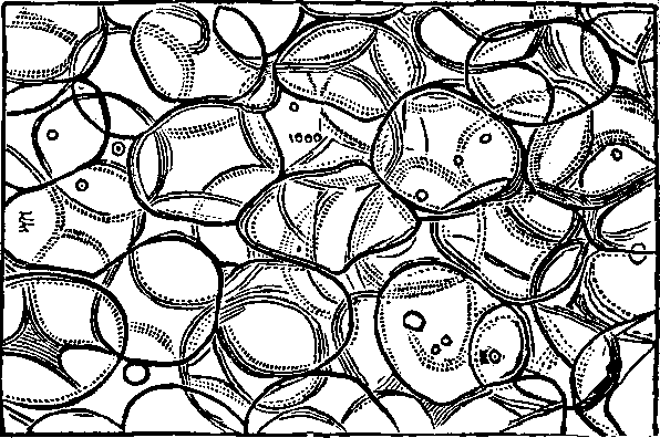 Illustration:
Fig. 6.