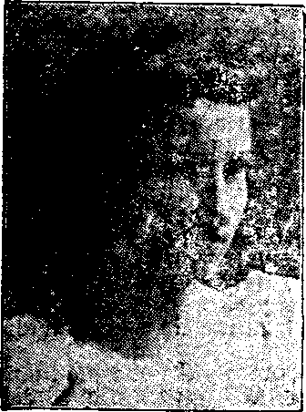 Illustration:
Mrs. Scott.