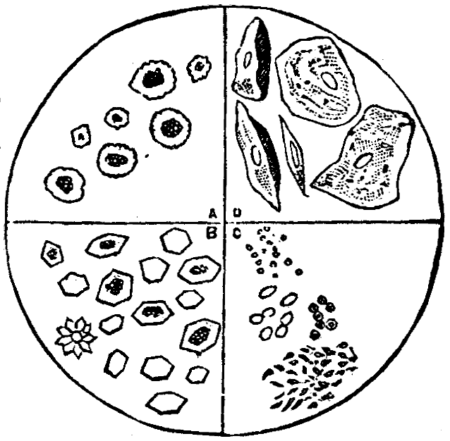 Illustration:
Fig. 7.