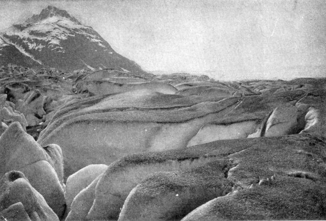 Muir Glacier, Alaska, showing crevasses and dust
layer on surface of ice.