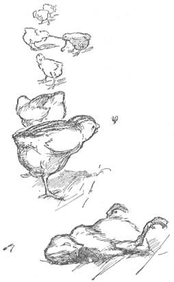 Poor little chap, . . . &rsquo;e never was a fyvorite