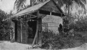 "SWEATING" BOXES, TRINIDAD.
The man is holding the wooden spade used for turning the beans.