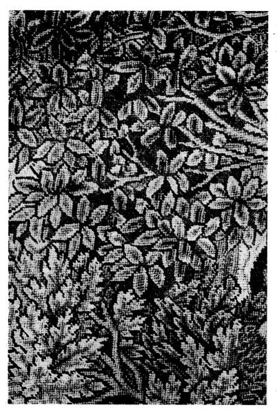 Plate VI.&mdash;A detail of Foliage taken from a late XVIth
Century Embroidered Picture, representing the story of Daphne.