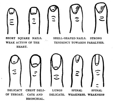 Plate V.&mdash; Part II.