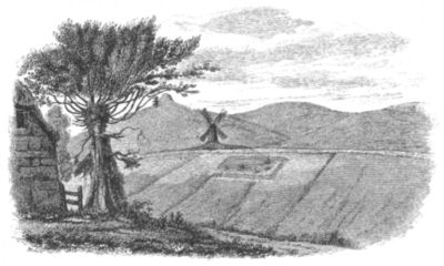 Sketch of Litlington Field, (reprinted from "Arch&aelig;ologia").