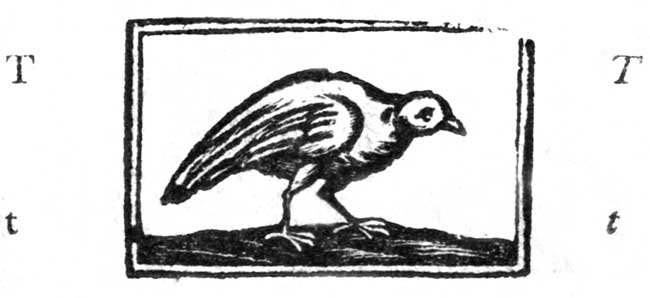 This turkey looks as if she had been in a shower of rain&mdash;perhaps she is not very well.