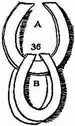 Fig. 36&mdash;Make smaller rings like these.