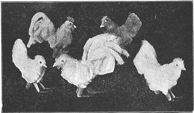 Fig. 101&mdash;Soft, downy hens and roosters.