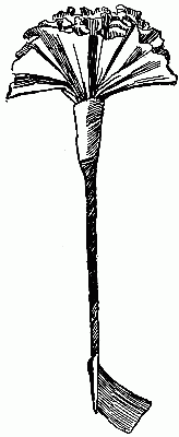 Fig. 239&mdash;Wrap the paper spirally around the stem.