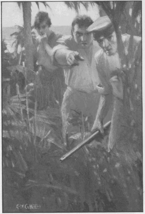 Natalie stepped softly beside them and gazed over their
stooping backs, to swiftly step back with a choking sob of horror. Frontispiece. See page 175.