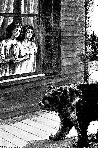 The great animal had now dropped from its upright
position at Dolly’s window and was crawling on all fours back along the
wide porch. (Frontis) (Dorothy on a Ranch)