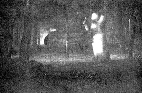 Fig. 50. Sunset in the Woods. Inness. Courtesy of the
Corcoran Art Gallery, Washington, D. C.