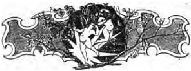 Decora��o de Pagina