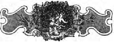 Decora��o de Pagina