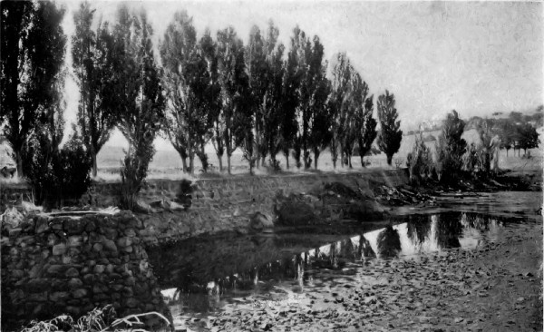 An artificial lake, nearly dry and partly filled with
rubbish, has become a breeding-ground for dangerous mosquitoes.