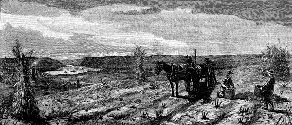 TOM TELLS THE STORY OF HIS DAY IN THE CITY.&mdash;DRAWN BY J. HODGSON.