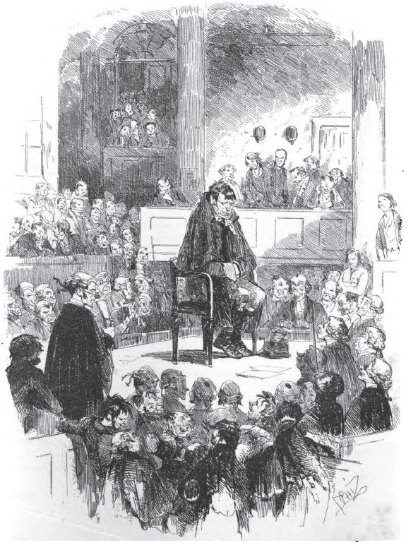 Browndarbyinthechair294