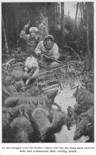 In the struggle over the bodies, others fell, but the main pack
swerved wide, and commenced their circling attack.