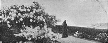 N&atilde;o voltar&aacute; mais―Arthur Loureiro