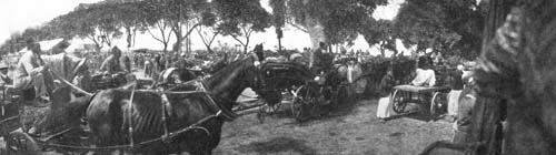 AT THE NILE BRIDGE WE WAITED FOR THE DRAW TO CLOSE.