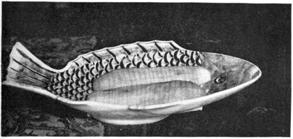 CUCUMBERS CUT IN HALVES LENGTHWISE AND THEN SLICED TO
SERVE WITH FISH.