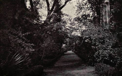 PLATE 116 "Preston Garden," Columbia, S.&nbsp;C.