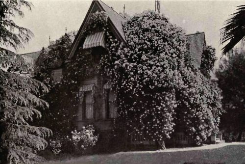 PLATE 153 "Ca&ntilde;on Crest Park"