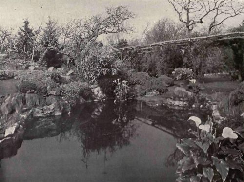 PLATE 166 Victoria City, Vancouver Island, B.&nbsp;C.