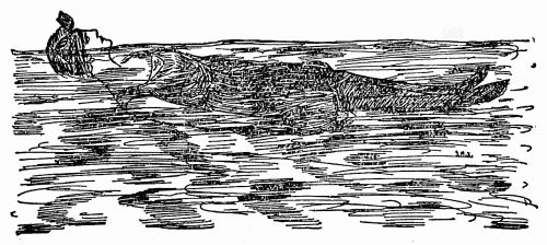 "Bring the legs together and forward you'll shoot."
End of arm stroke.