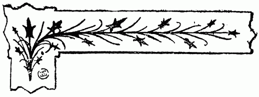 barra decorativa cap�tulo XIV