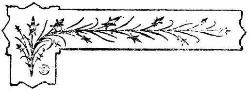 barra decorativa cap�tulo XX