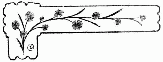 barra decorativa cap�tulo XXVII