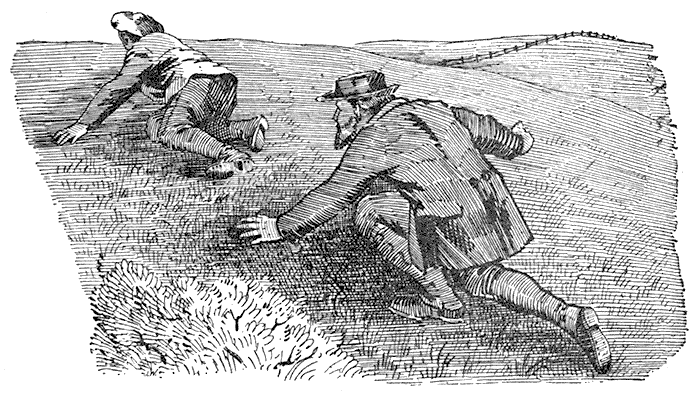 "Going sinuously and snake-like
through the wet meadows"