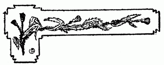 decoraci�n no disponible