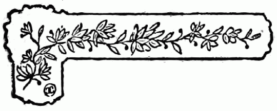 decoraci�n no disponible