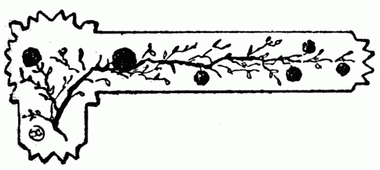 decoraci�n no disponible